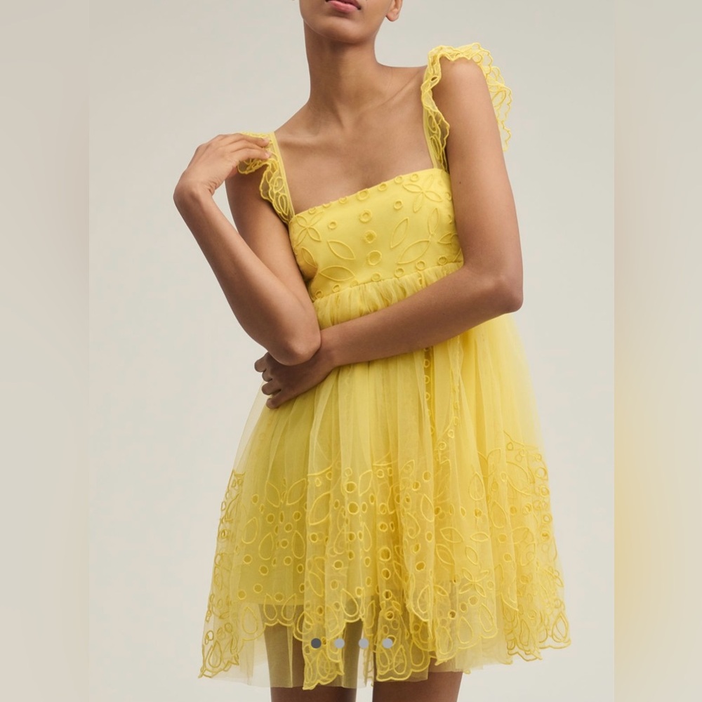 Anthropologie Let Me Be Eyelet Tulle Mini Dress NWT!